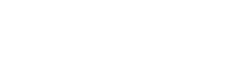 DutchViking Logo